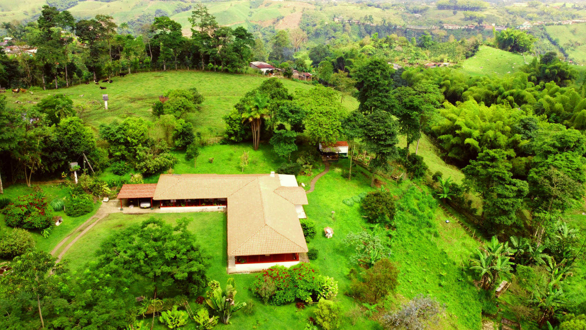 Villa Cristina from above