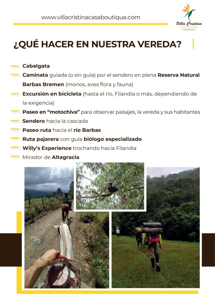 actividades